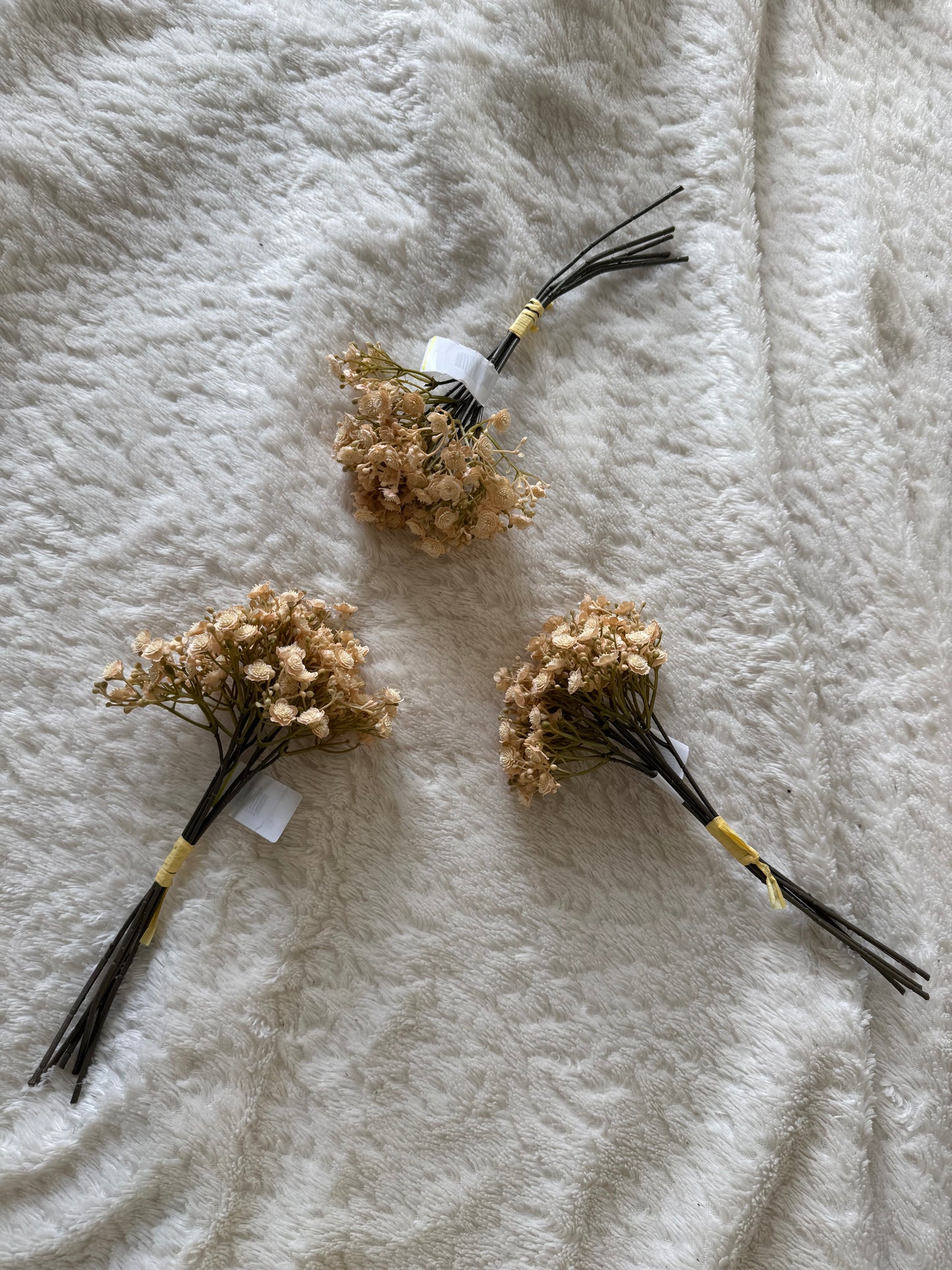Gypsophilia beige 28 cm