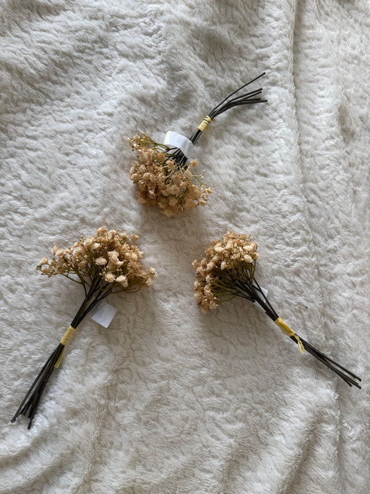 Gypsophilia beige 28 cm