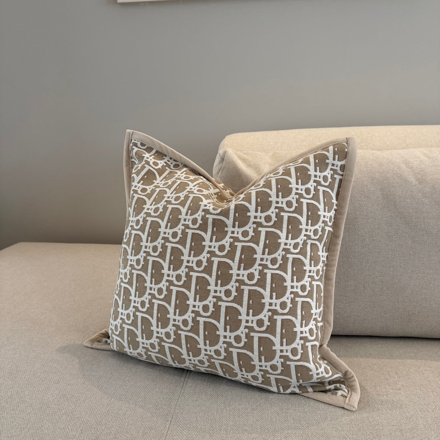 Cushion beige 50 by 50