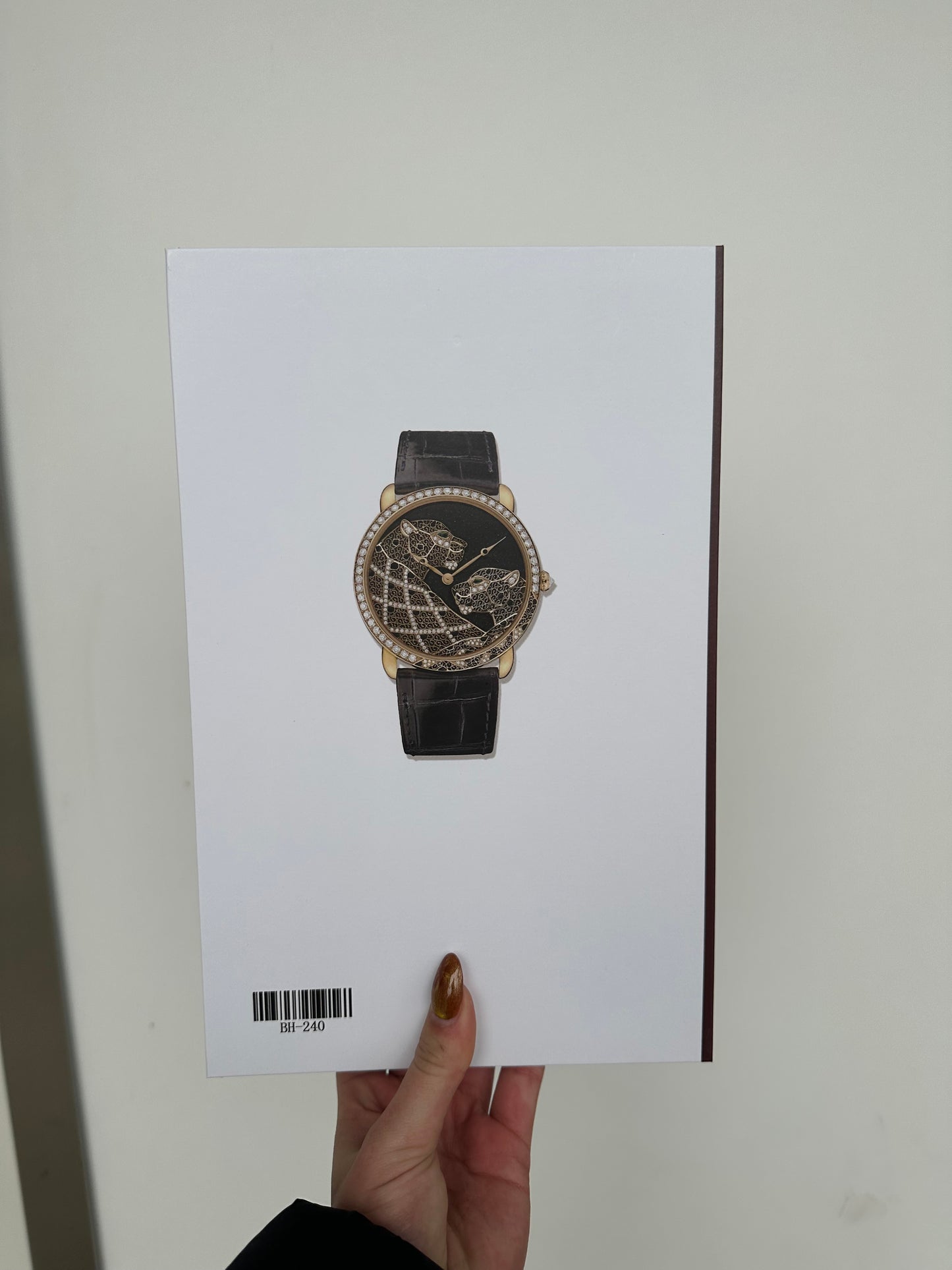 Sierboek horloge